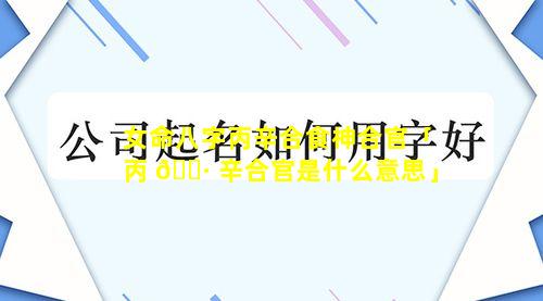 女命八字丙辛合食神合官「丙 🌷 辛合官是什么意思」